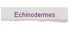 Echinodermes
