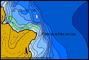 site pota del llop.gif (21487 octets)